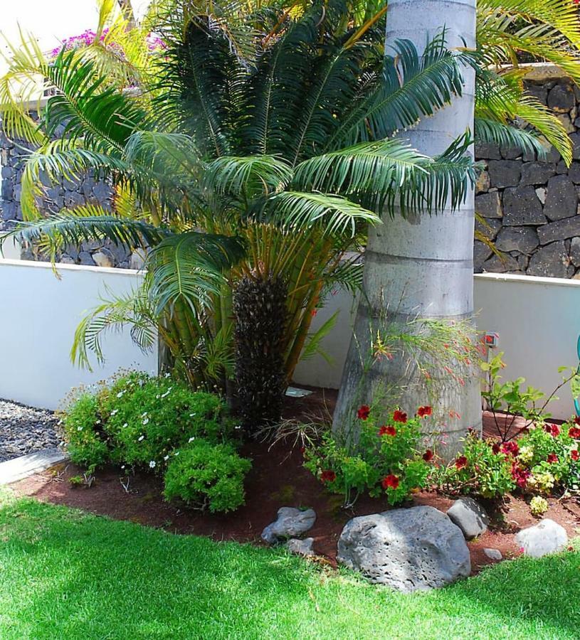 Vila House Sea View Private Garden, 5 People, Optical Fiber Puerto de la Madera Exteriér fotografie